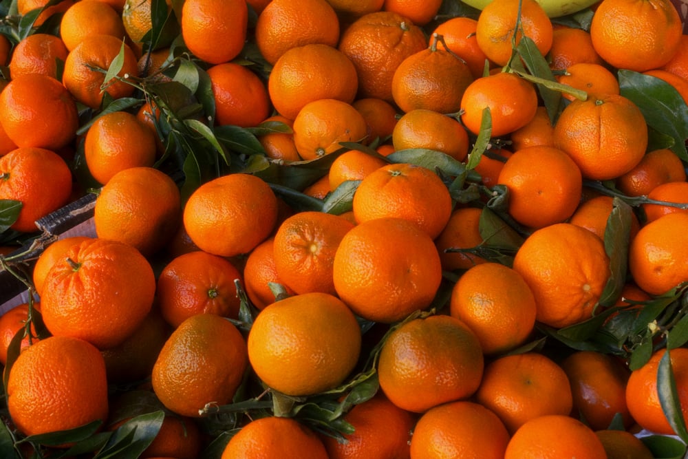Moroccan Ortanique Tangerine