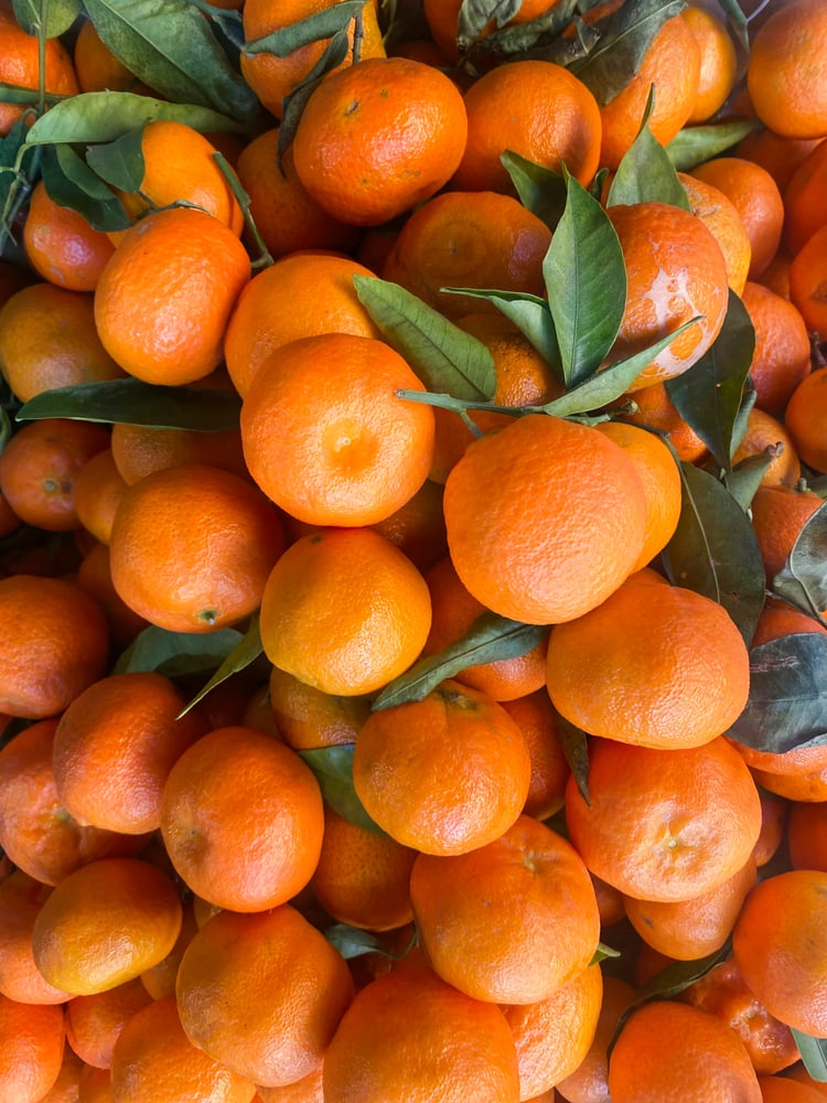 Moroccan Nadorcott Tangerine