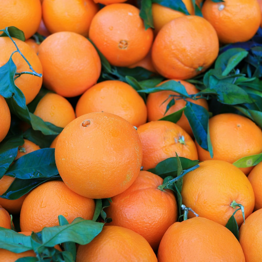 Moroccan Navel Orange