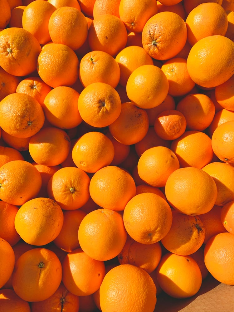Moroccan Salustiana Orange
